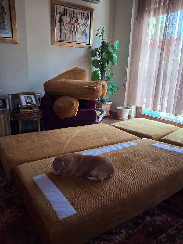 MONAMI Dechome Yeny Fitilli Kadife | Köşe Koltuk | 160X160 Köşe Takımı | Modüler Köşe Takımı | Yataklı L Koltuk | Fitilli Kadife