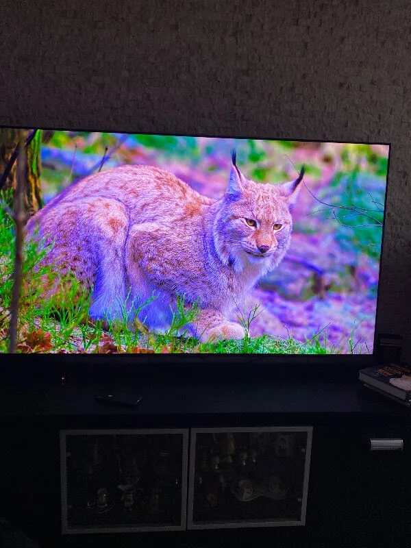 Esin Varoler ürün değerlendirmesi